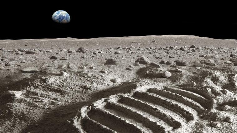 Los pasajeros invisibles que viajarán con el hombre a la Luna y podrían sobrevivir allí