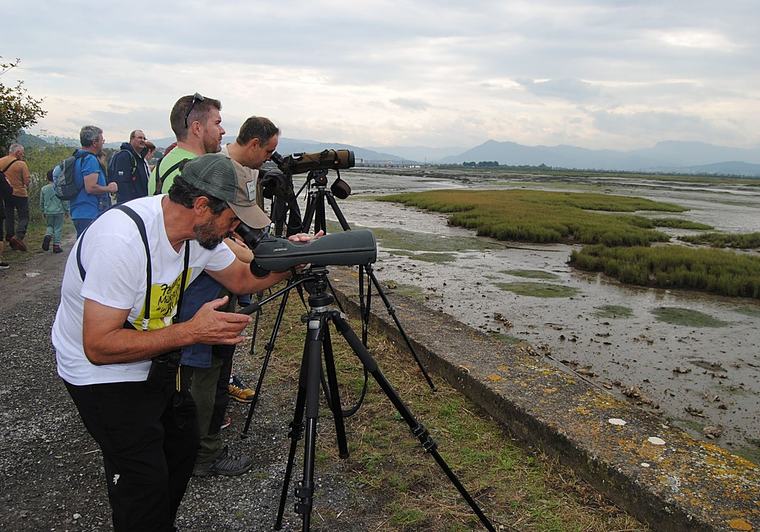 Prismáticos listos para el Festival de Migración de las Aves en las Marismas de Santoña