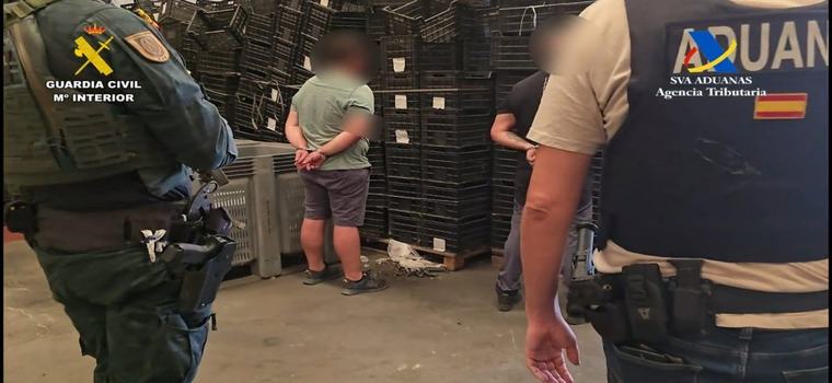 Interceptados más de 1.200 kilos de cocaína oculta en el cargamento de cocos de un camión en Sevilla