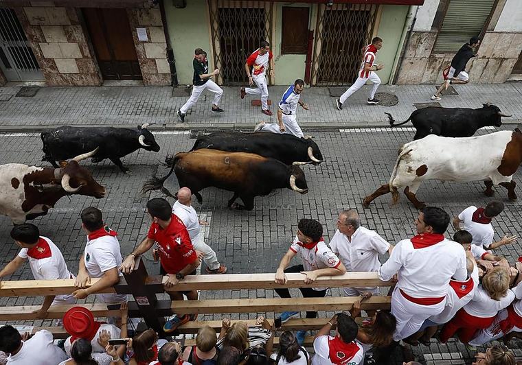 El primer encierro de las fiestas de Ampuero se salda con un peñista corneado