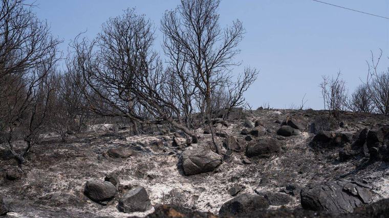 castilla y león | Emergencias del Colegio de Psicología de CyL atendió a casi 3.000 afectados por los incendios
