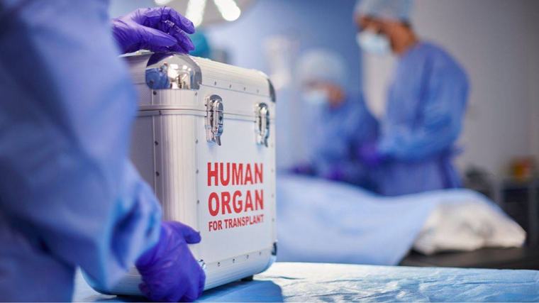 pacientes | El mayor hito en xenotrasplantes: un riñón de cerdo modificado permite a un paciente vivir 9 meses sin diálisis