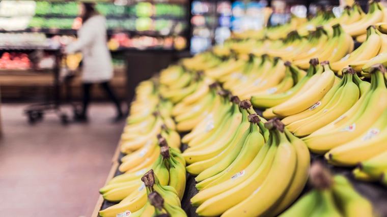 La naturaleza como inspiración: una estudiante desarrolla un revestimiento con hojas de plátano que protege las incubadoras de las bacterias