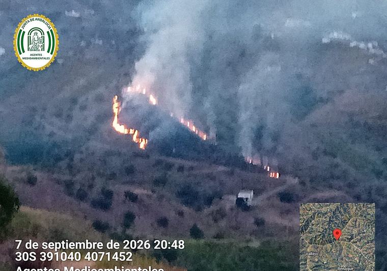 Extinguido un incendio forestal en Almáchar que ha afectado a tres hectáreas de matorral