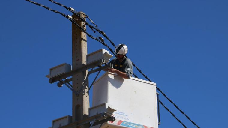 Endesa instala 39 nuevas cajas nido en Mollet de Peralada para potenciar la reproducción del cernícalo pequeño
