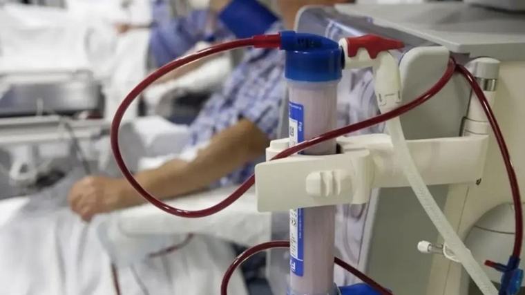 Un hombre sobrevive nueve meses con un riñón de cerdo hasta conseguir un trasplante humano