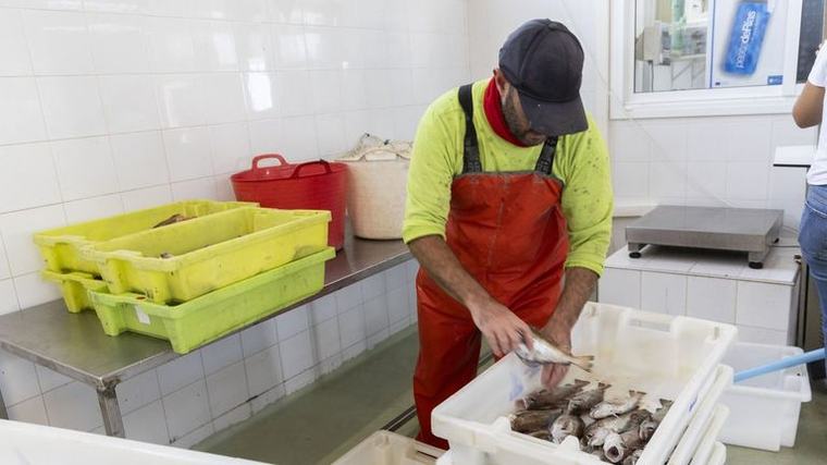El calentamiento marino genera cambios inéditos para la pesca, en la flota y el consumo