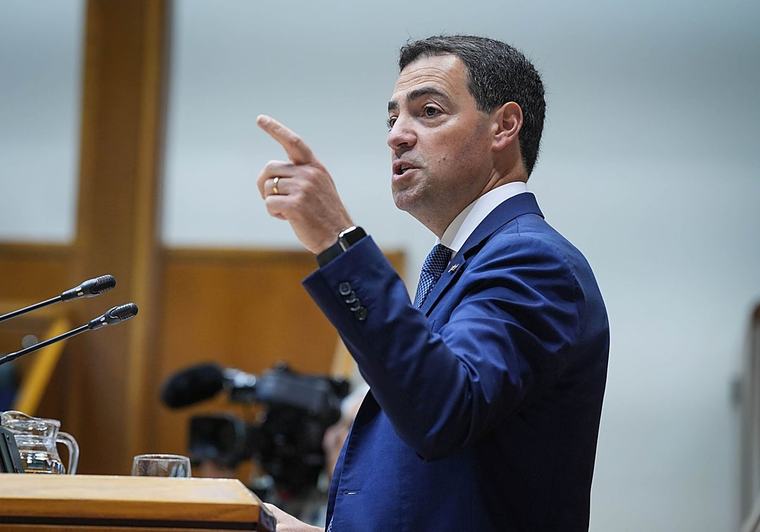 Pradales reclama una «reflexión» a los partidos tras la victoria de la extrema derecha en Sajonia-Anhalt