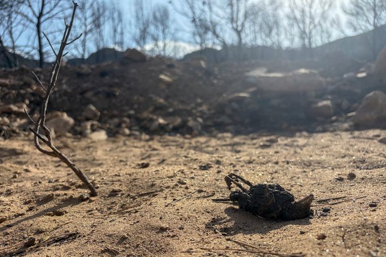 Las soluciones detrás del incendio de Los Gallardos para prevenir el riesgo en núcleos de viviendas aisladas y diseminadas