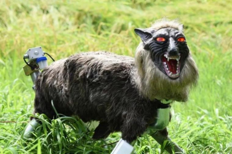 Lobos robóticos con ojos LED y ruedas: la insólita respuesta de Japón ante la crisis de los osos