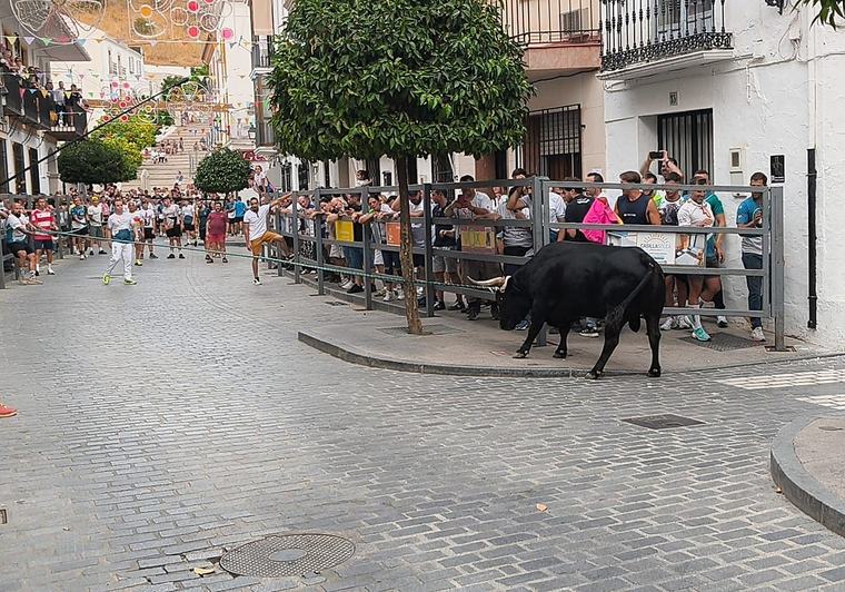 El Toro de Cuerda vuelve a hacer vibrar a Carcabuey con una jornada llena de quites y emoción