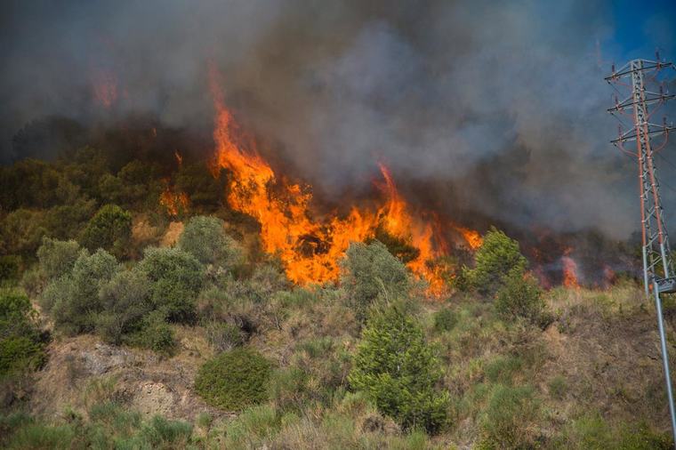 ¿Qué se puede hacer ya para prevenir los incendios forestales?