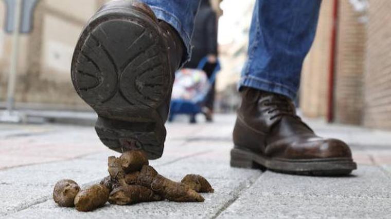 Si haces esto en las calles de Zaragoza te puede salir muy caro: hasta 3.000 euros de multa
