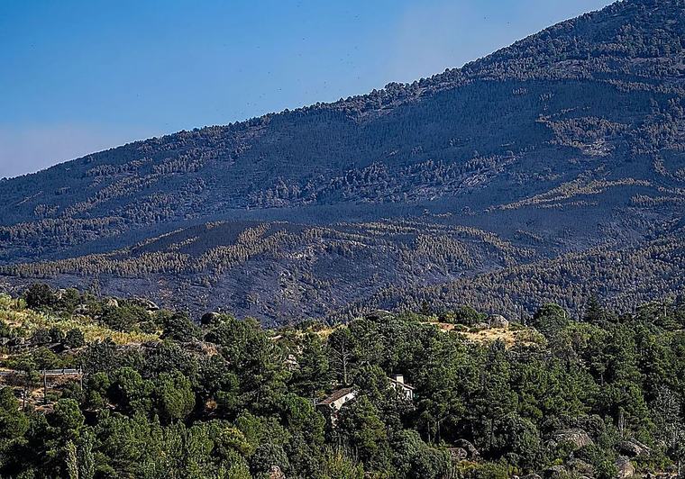 Corral pide al Ministerio que «concrete» su apoyo tras el incendio de Burgohondo (Ávila)