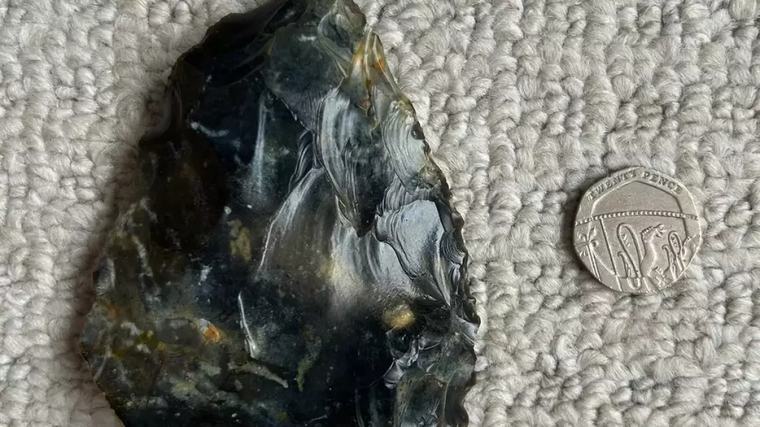 Un niño encuentra una piedra en la playa y descubre que es un tesoro de hace 60.000 años