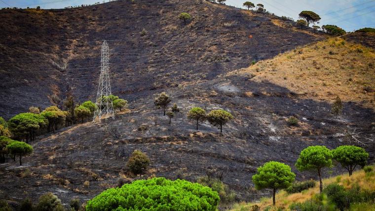 La Guardia Urbana detiene a un pirómano que asegura haber estado antes en Collserola
