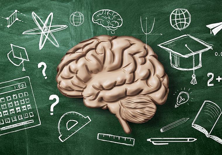El cerebro de los niños tampoco vuelve de vacaciones el primer día de colegio