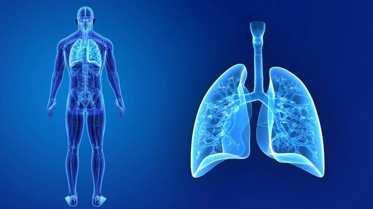 España ya cuenta con un nuevo tratamiento para la enfermedad pulmonar obstructiva crónica (EPOC)