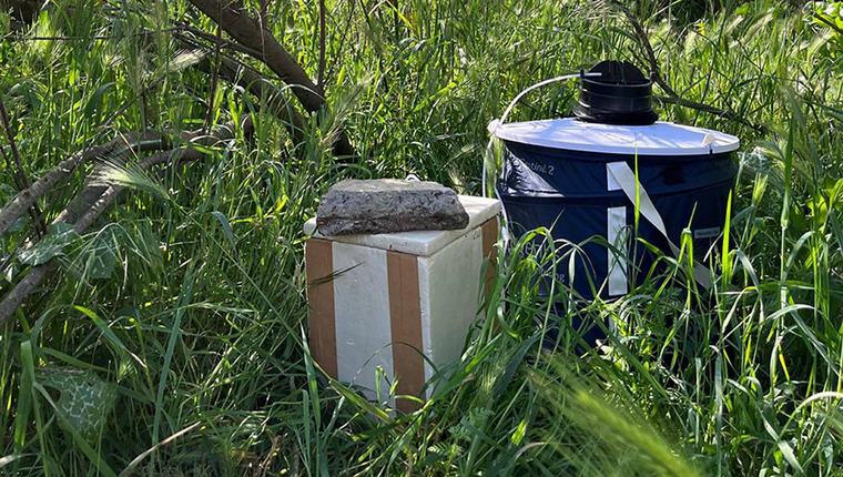andalucía | Huelva, en alerta por virus del Nilo tras detectar mosquitos infectados cerca del núcleo urbano